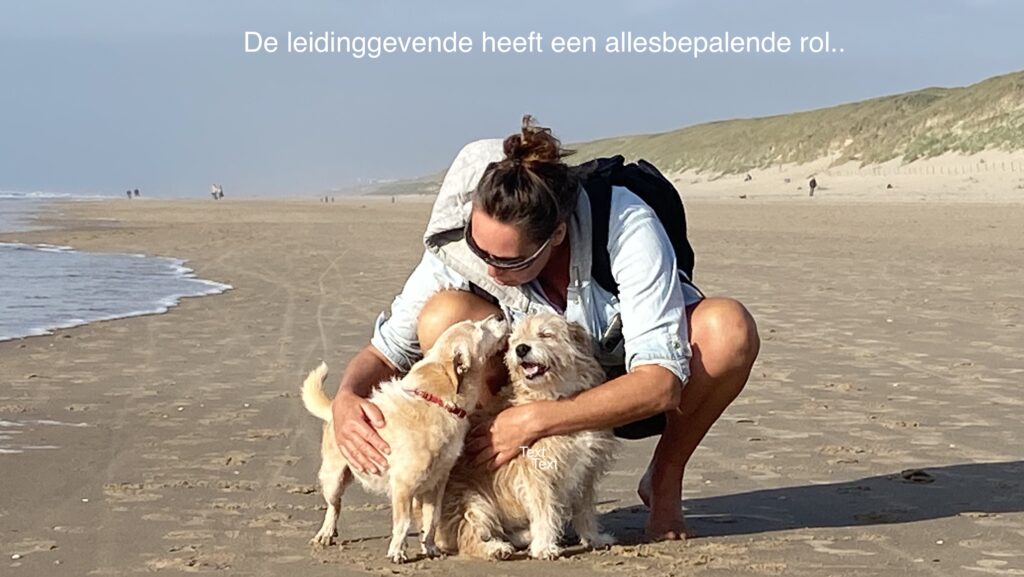 VERTROUWEN | VAN 'T SCHIP 1 Blog 8 D R en K copy